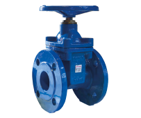 R55FL – Van cổng kết nối mặt bích
